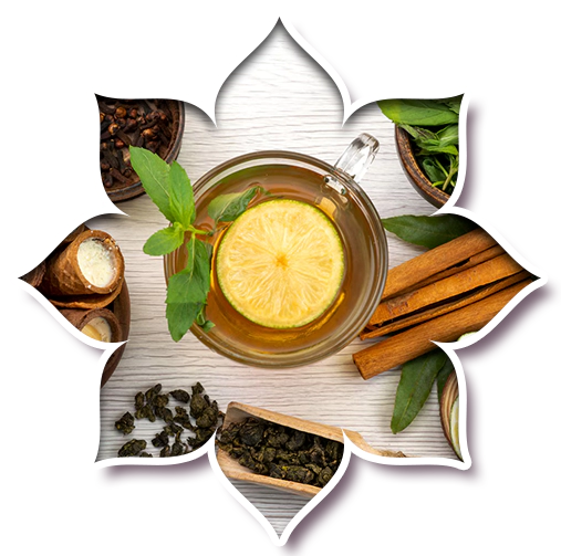 Ayurveda Nutrition and Integration Image
